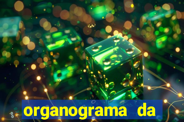 organograma da cacau show