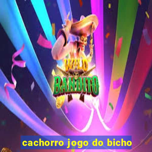 cachorro jogo do bicho