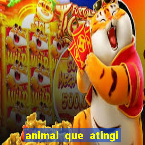 animal que atingi 230 decibeis