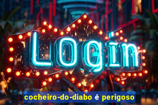 cocheiro-do-diabo é perigoso