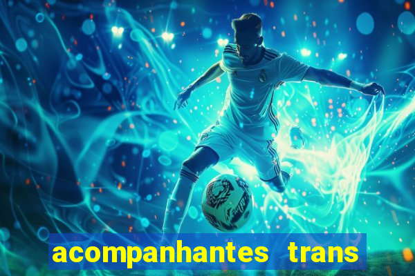 acompanhantes trans baixada fluminense