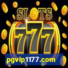 pgvip1177.com