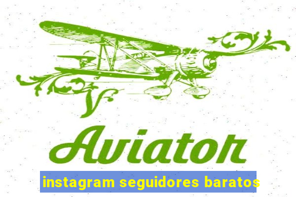 instagram seguidores baratos