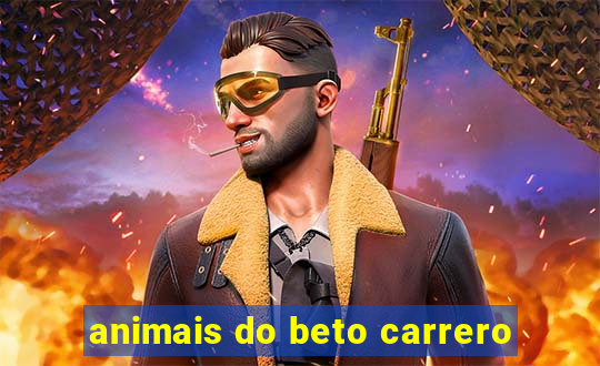 animais do beto carrero