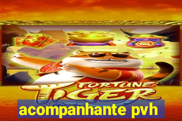 acompanhante pvh