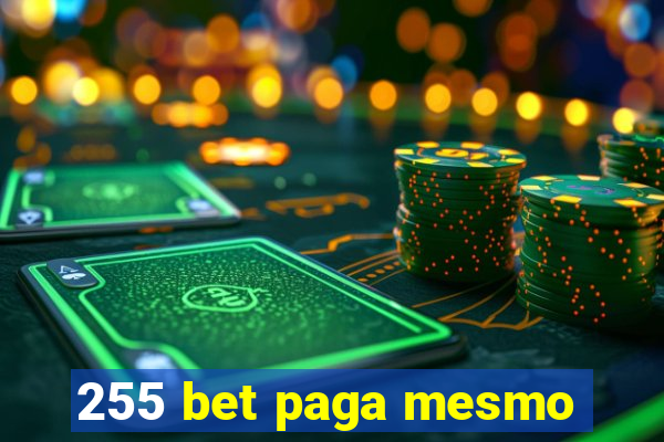 255 bet paga mesmo